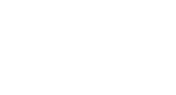 Information Services Group